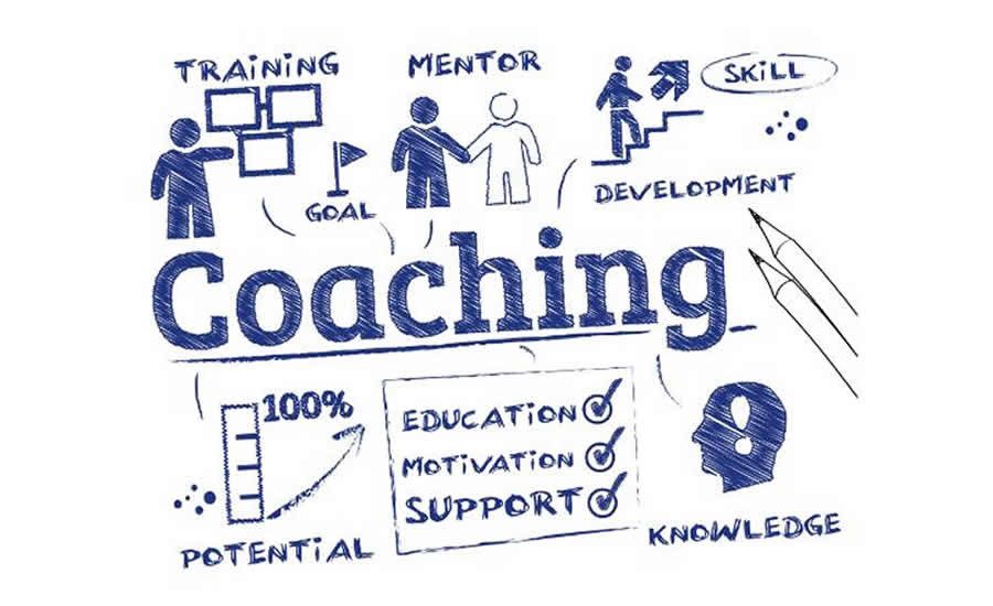 Website Coaching